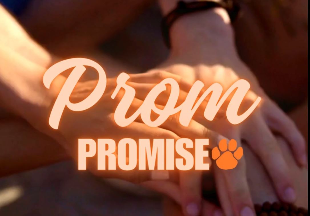 Prom Promise Simulation